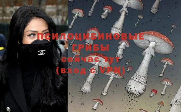 герыч Тайга