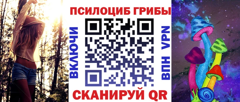 blacksprut онион  Чита  darknet Telegram  Псилоцибиновые грибы GOLDEN TEACHER 
